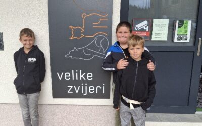Velike zvijeri