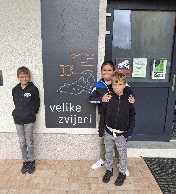 Velike zvijeri